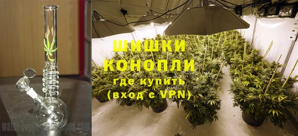 ешки Ладушкин