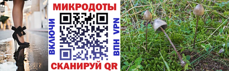 Галлюциногенные грибы Cubensis  Купить где  Киржач 
